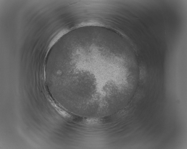 X0000076321274200610201629