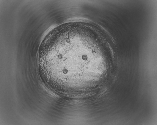 X0000076321275200610201629