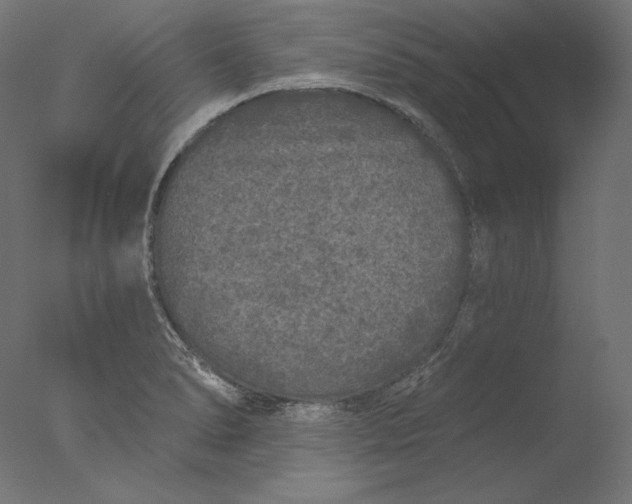 X0000076321278200610201629