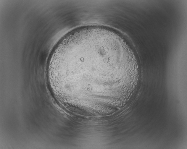 X0000076321279200610201629