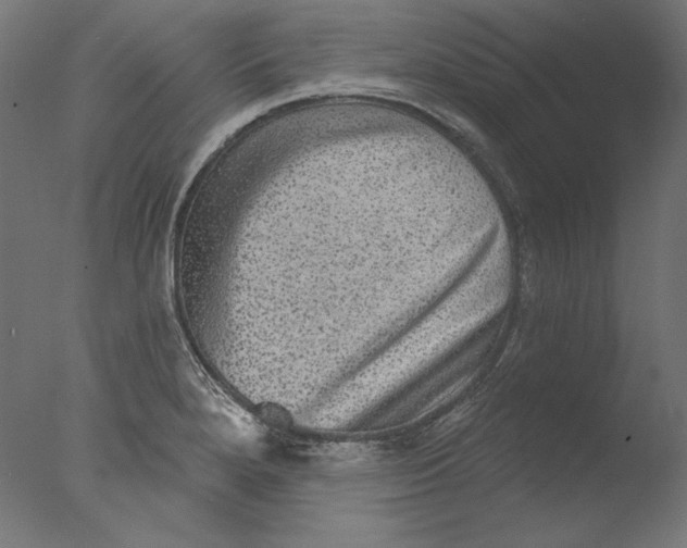 X0000076321280200610201629