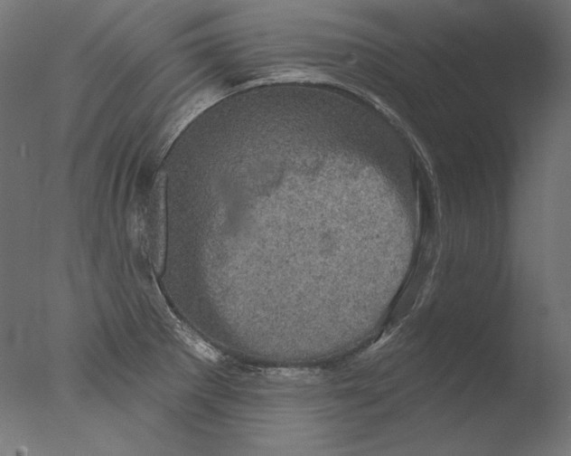 X0000076321281200610201629