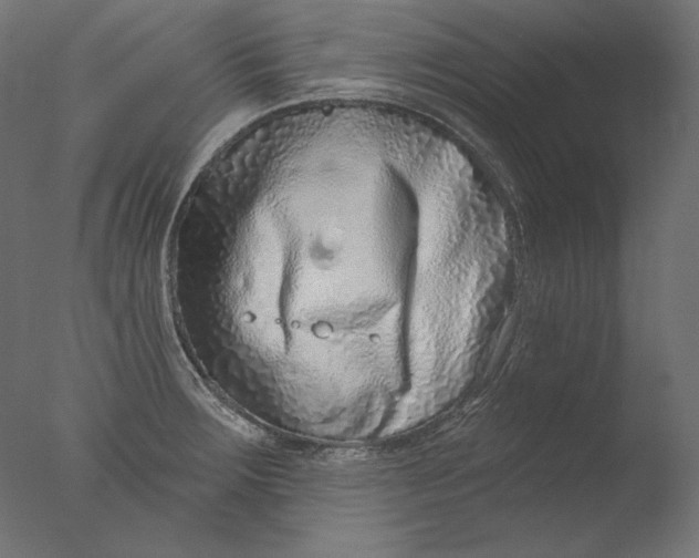 X0000076321283200610201629