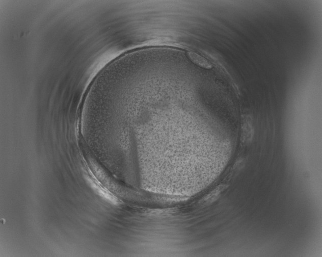 X0000076321284200610201629