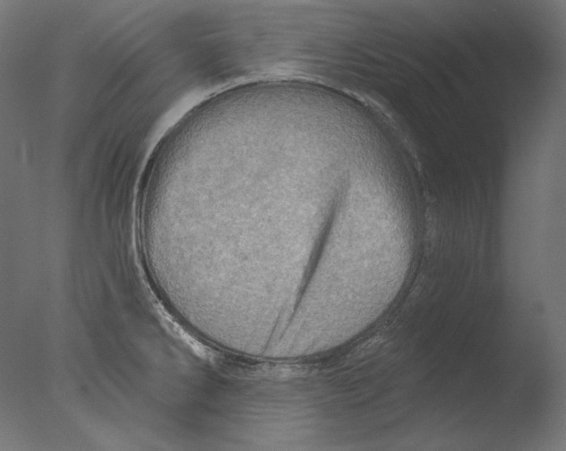 X0000076321286200610201629