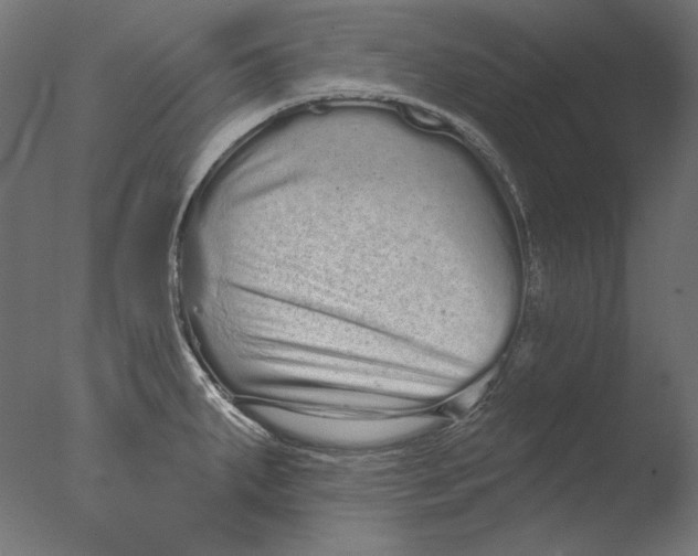 X0000076321287200610201629