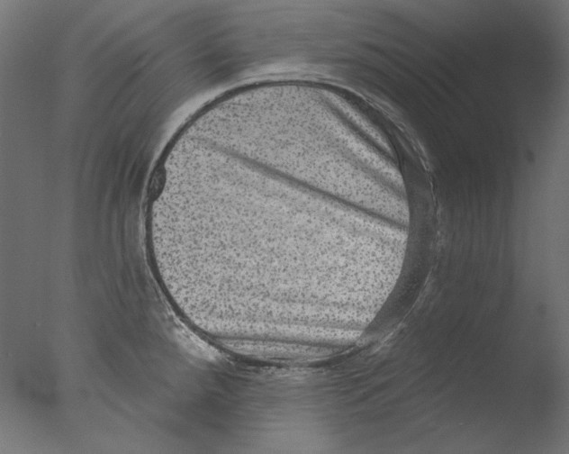 X0000076321288200610201629