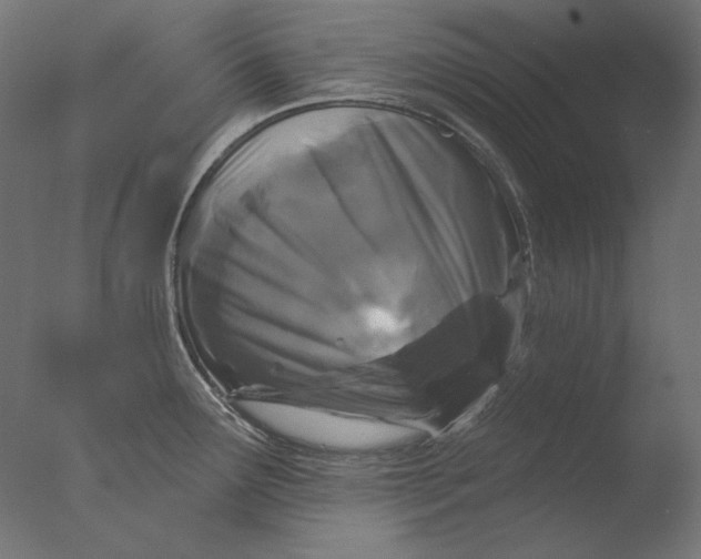 X0000076321291200610201629