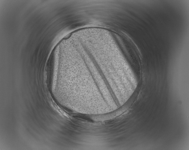 X0000076321292200610201629