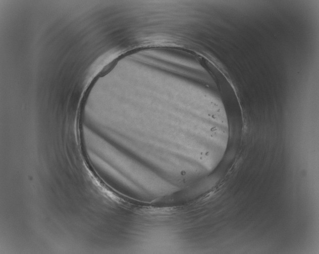 X0000076321293200610201629