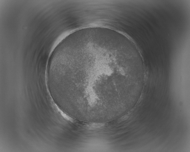 X0000076321294200610201629