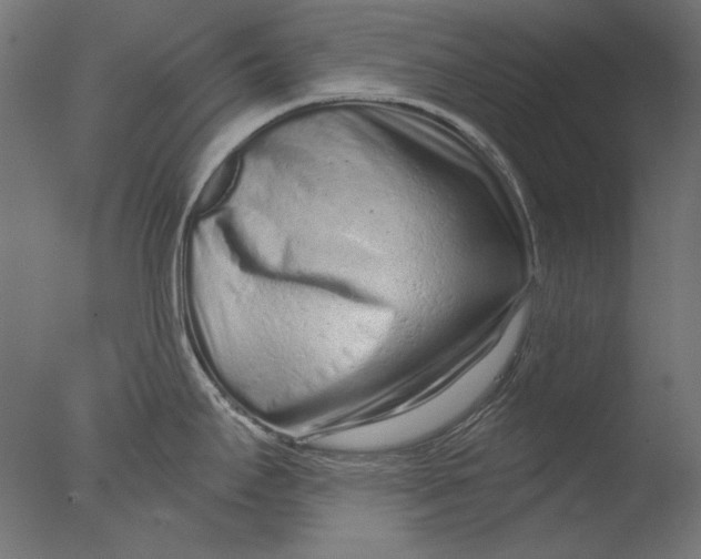 X0000076321295200610201629