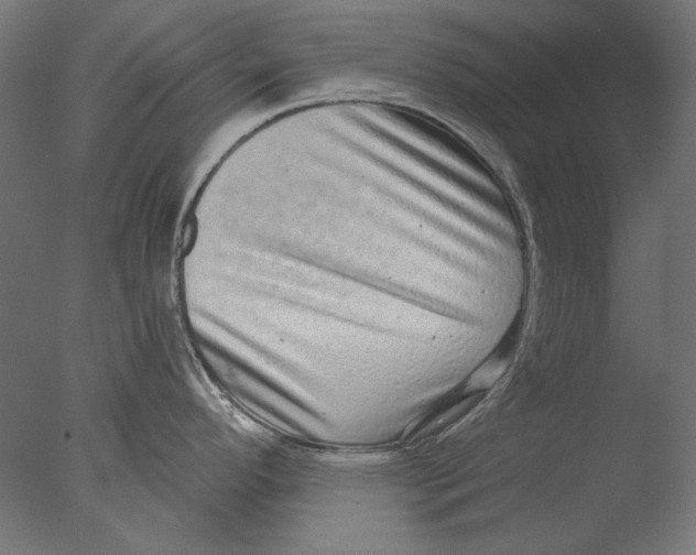 X0000076321296200610201629