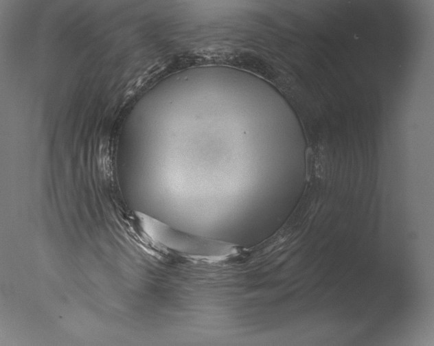 X0000076321298200610201628