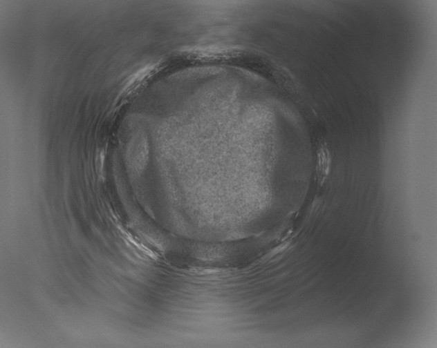 X0000076321300200610201628