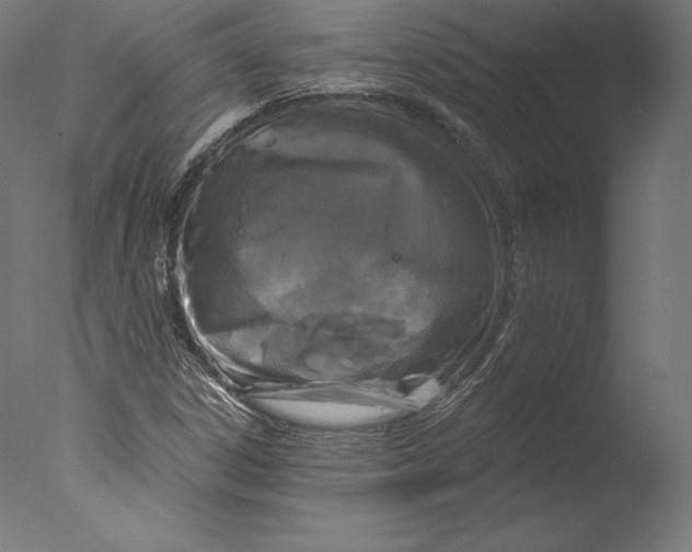 X0000076321306200610201628