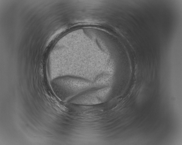 X0000076321307200610201628