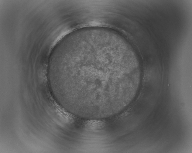 X0000076321314200610201628