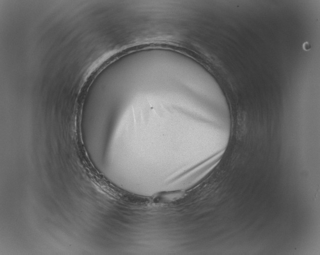 X0000076321316200610201628