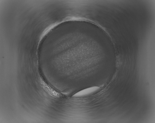 X0000076321319200610201628