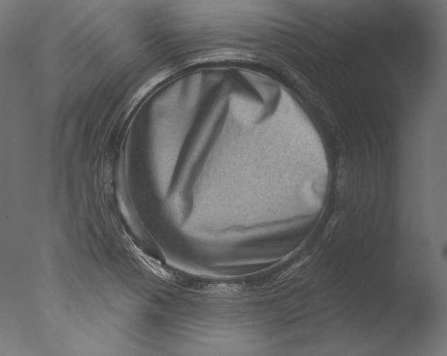 X0000076321321200610201628