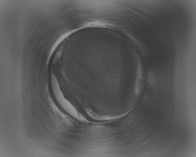 X0000076321323200610201628