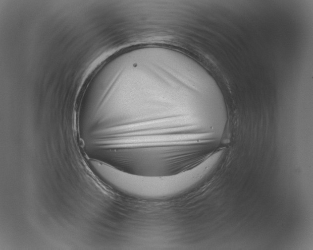 X0000076321324200610201628