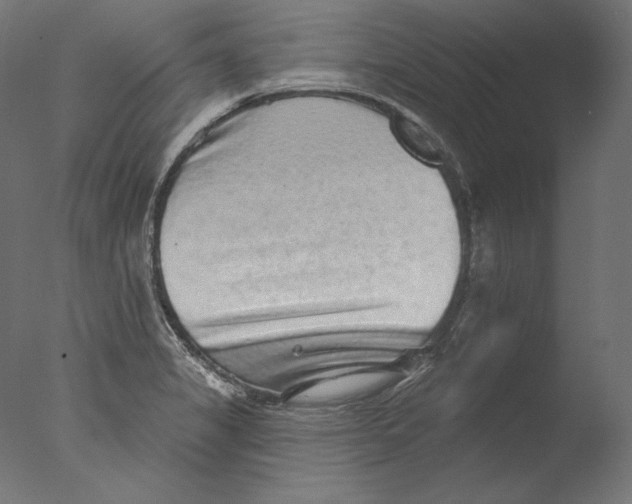 X0000076321325200610201628