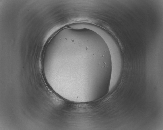 X0000076321328200610201628