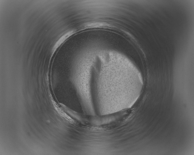 X0000076321330200610201629