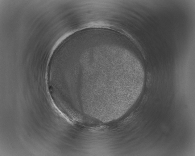 X0000076321331200610201629