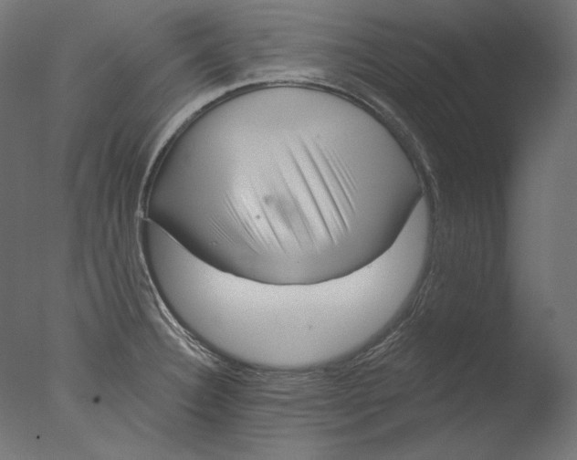 X0000076321332200610201629