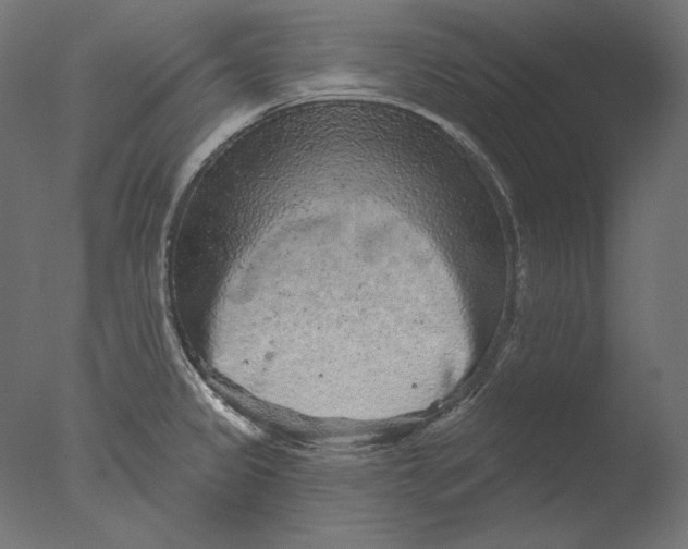 X0000076321333200610201629