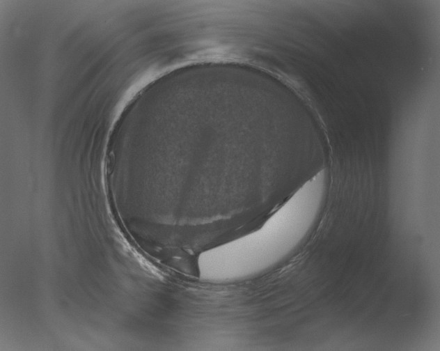 X0000076321334200610201629