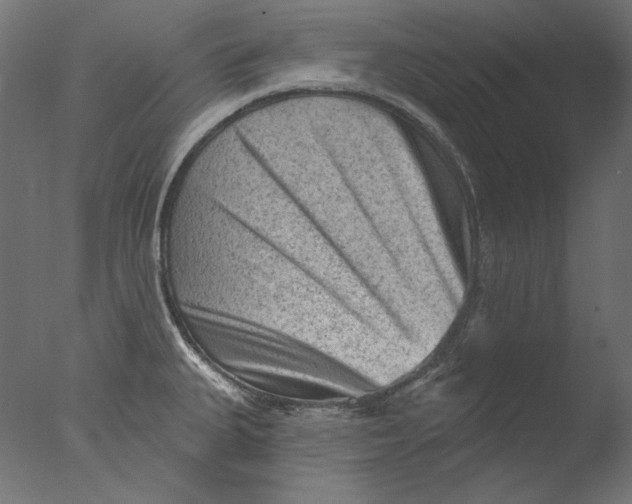 X0000076321335200610201629