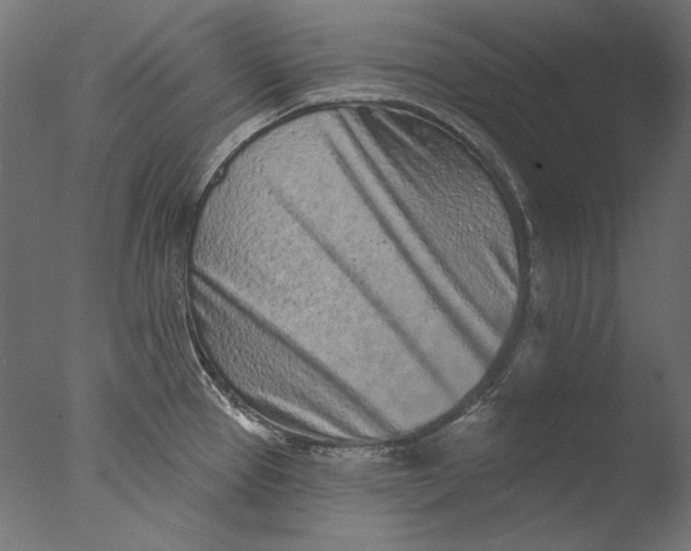 X0000076321337200610201629