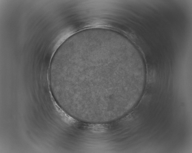 X0000076321338200610201629