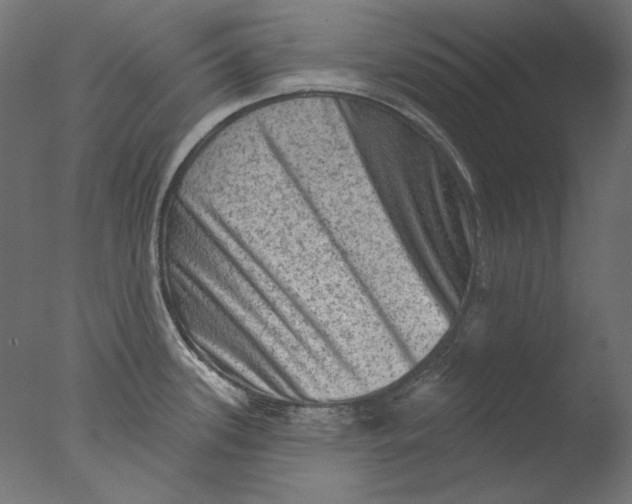 X0000076321339200610201629