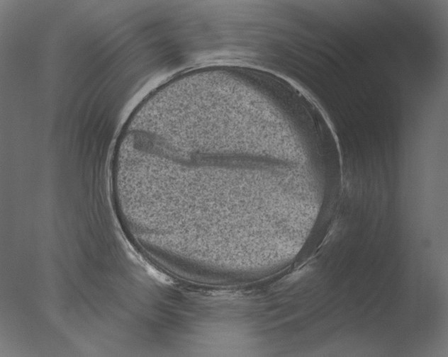 X0000076321341200610201629