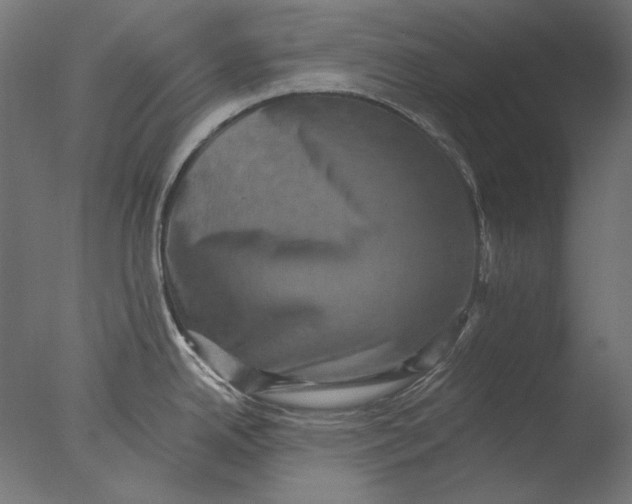 X0000076321342200610201629