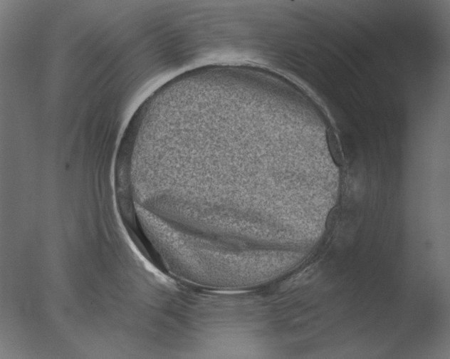 X0000076321343200610201629