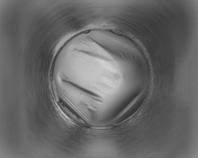 X0000076321344200610201629