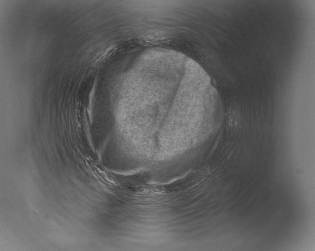 X0000076321346200610201628