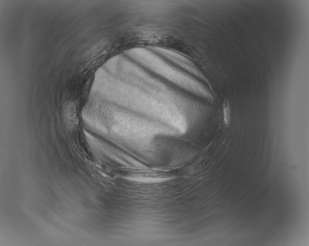 X0000076321347200610201628