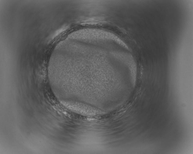 X0000076321350200610201628