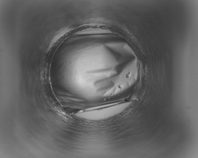 X0000076321352200610201628