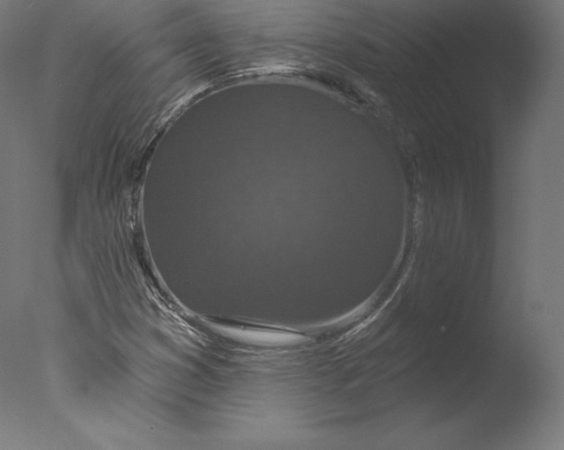 X0000076321353200610201628