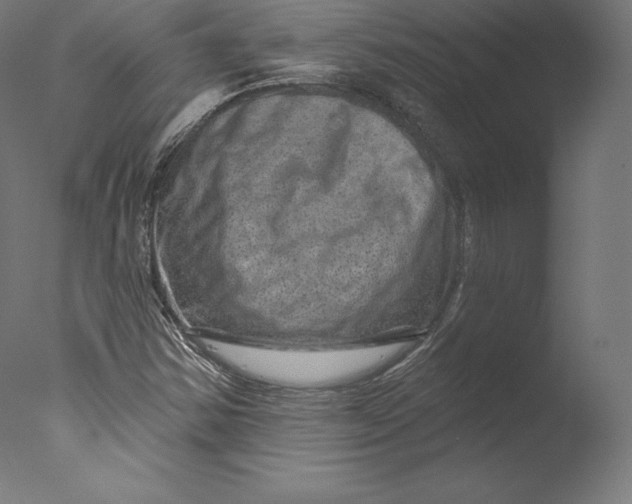 X0000076321354200610201628