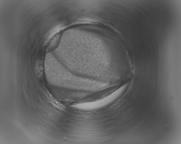 X0000076321355200610201628