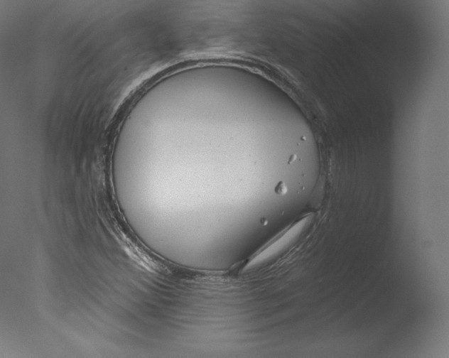 X0000076321356200610201628